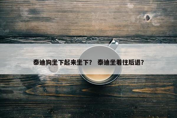 泰迪狗坐下起来坐下？ 泰迪坐着往后退？
