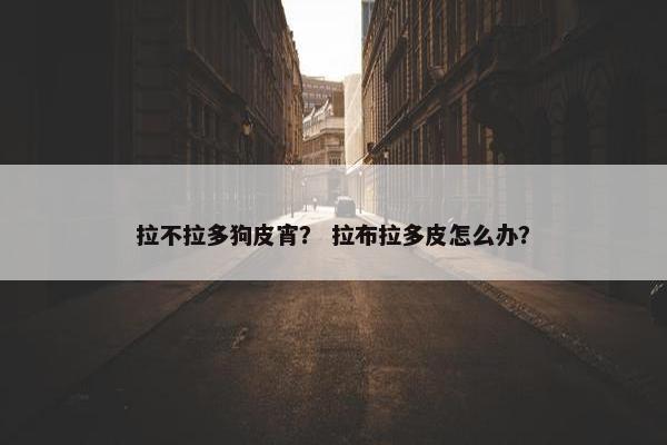 拉不拉多狗皮宵？ 拉布拉多皮怎么办？