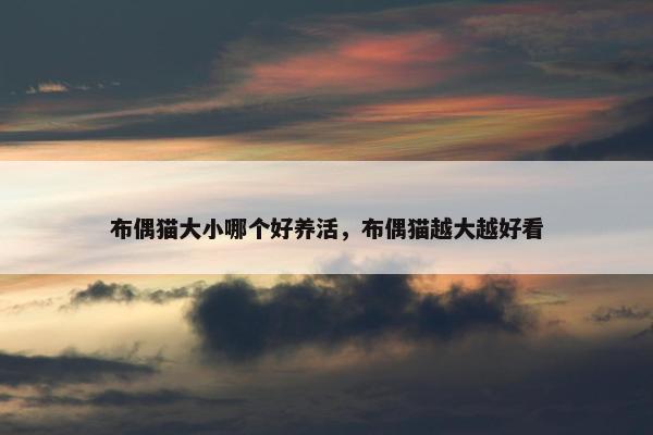 布偶猫大小哪个好养活，布偶猫越大越好看