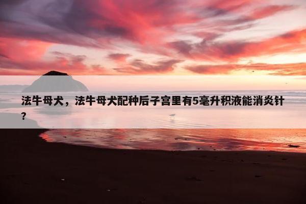 法牛母犬，法牛母犬配种后子宫里有5毫升积液能消炎针?