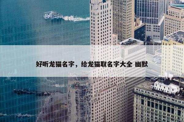 好听龙猫名字，给龙猫取名字大全 幽默