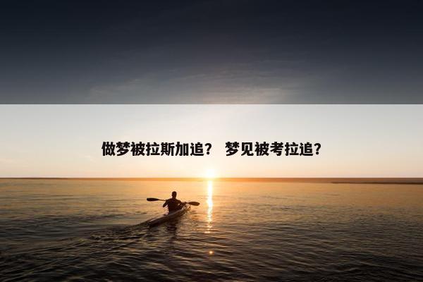 做梦被拉斯加追？ 梦见被考拉追？