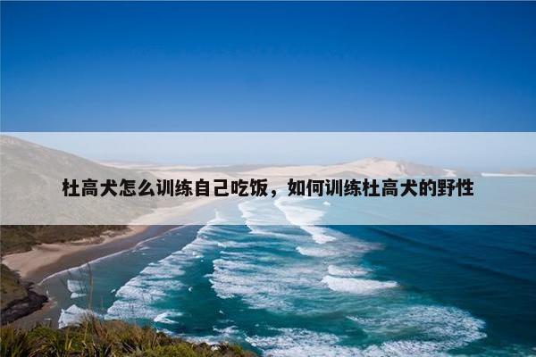 杜高犬怎么训练自己吃饭，如何训练杜高犬的野性