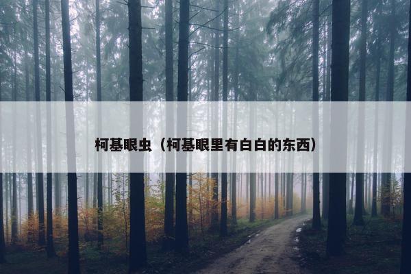 柯基眼虫（柯基眼里有白白的东西）