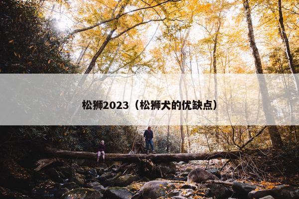 松狮2023（松狮犬的优缺点）