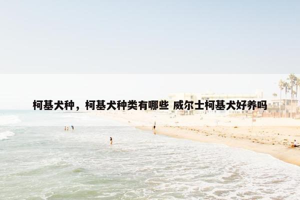 柯基犬种，柯基犬种类有哪些 威尔士柯基犬好养吗