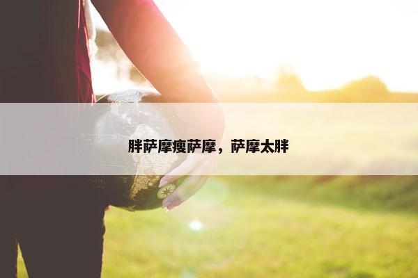 胖萨摩瘦萨摩，萨摩太胖