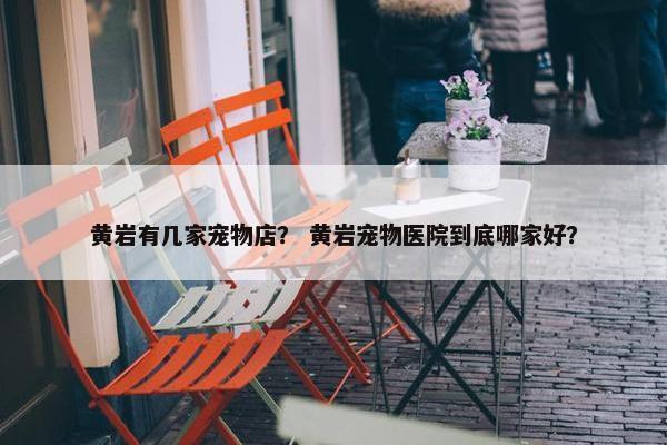 黄岩有几家宠物店？ 黄岩宠物医院到底哪家好？