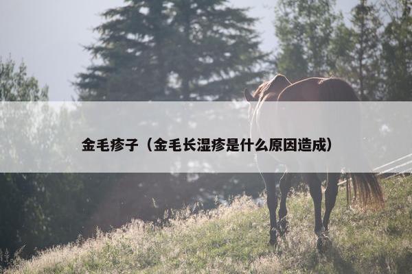 金毛疹子（金毛长湿疹是什么原因造成）