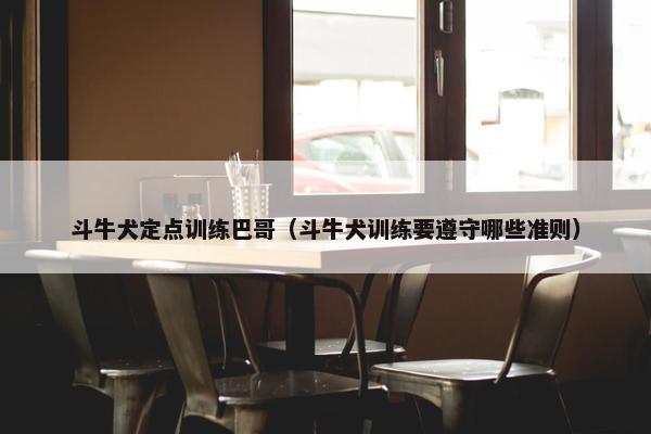 斗牛犬定点训练巴哥（斗牛犬训练要遵守哪些准则）