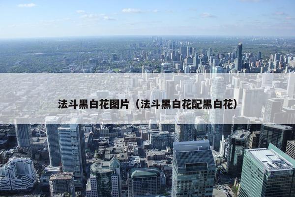法斗黑白花图片（法斗黑白花配黑白花）