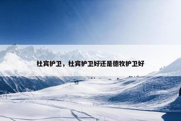 杜宾护卫，杜宾护卫好还是德牧护卫好