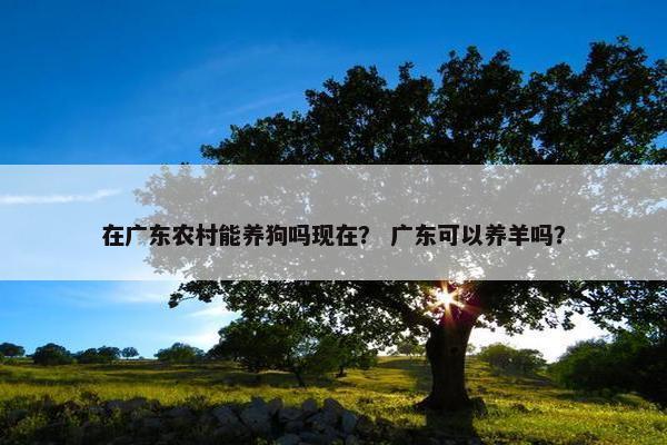 在广东农村能养狗吗现在？ 广东可以养羊吗？
