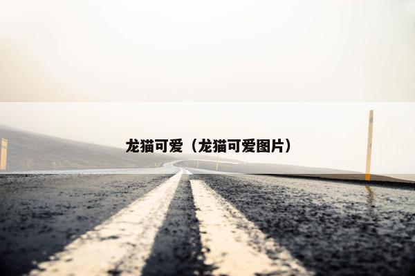 龙猫可爱（龙猫可爱图片）