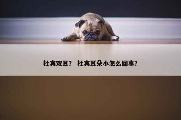 杜宾双耳？ 杜宾耳朵小怎么回事？