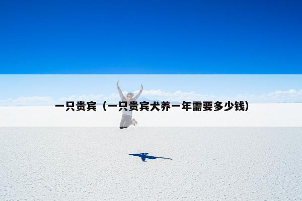 一只贵宾（一只贵宾犬养一年需要多少钱）