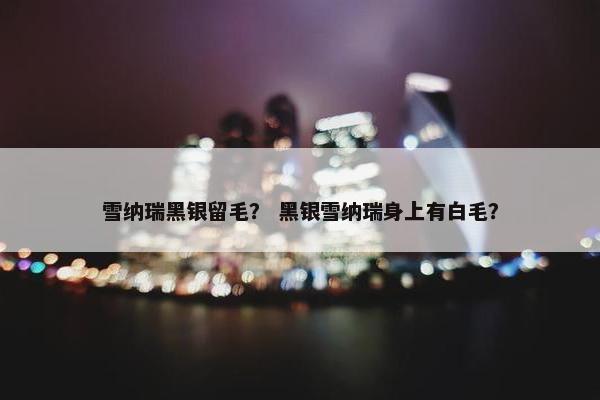 雪纳瑞黑银留毛？ 黑银雪纳瑞身上有白毛？