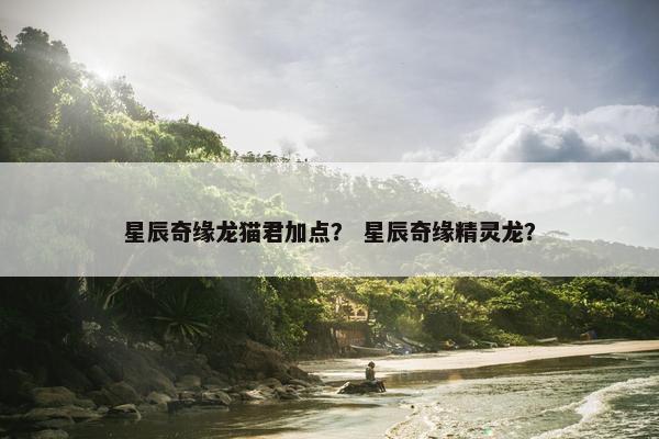 星辰奇缘龙猫君加点？ 星辰奇缘精灵龙？