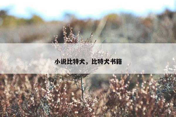 小说比特犬，比特犬书籍