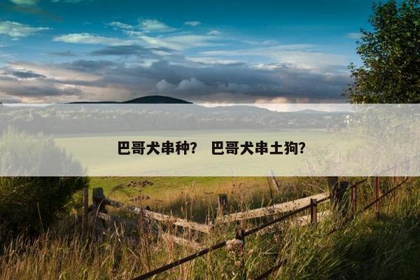 巴哥犬串种？ 巴哥犬串土狗？