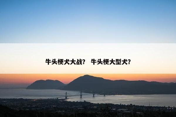2025年6月3日 第6页