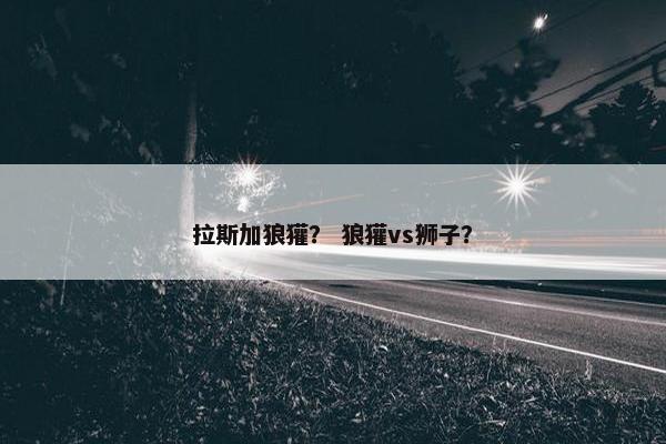 拉斯加狼獾？ 狼獾vs狮子？