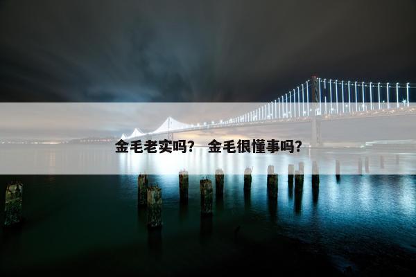 金毛老实吗？ 金毛很懂事吗？