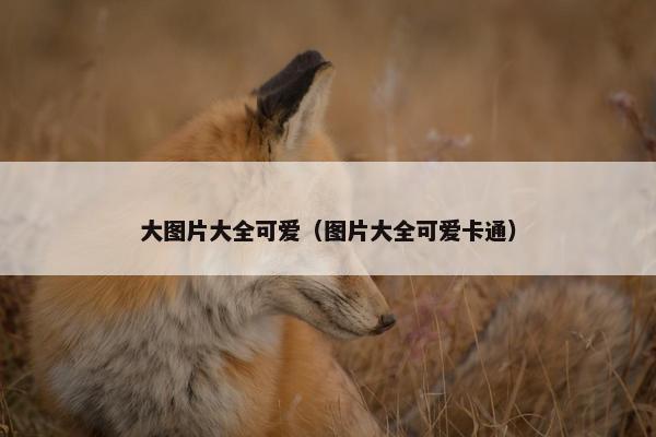 大图片大全可爱（图片大全可爱卡通）