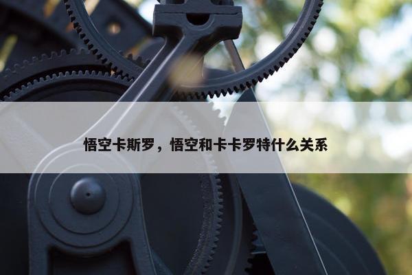 悟空卡斯罗，悟空和卡卡罗特什么关系