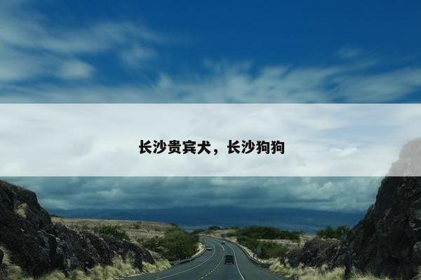 长沙贵宾犬，长沙狗狗