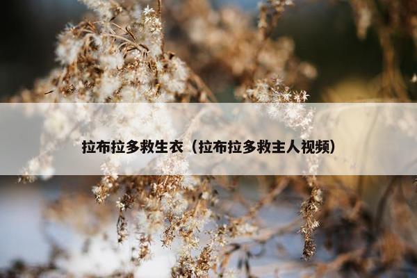 拉布拉多救生衣（拉布拉多救主人视频）