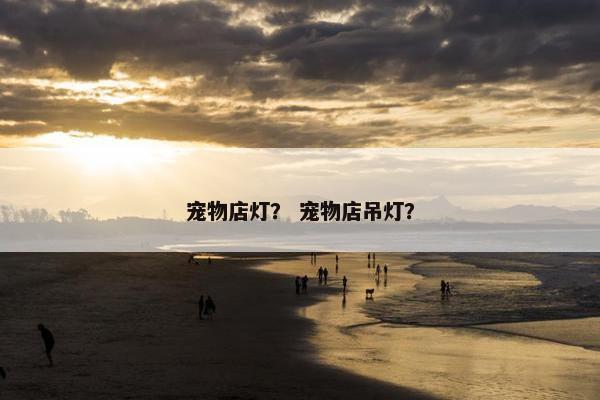 宠物店灯？ 宠物店吊灯？
