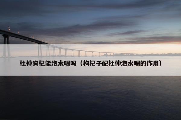 杜仲狗杞能泡水喝吗（枸杞子配杜仲泡水喝的作用）