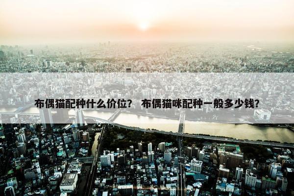 布偶猫配种什么价位？ 布偶猫咪配种一般多少钱？