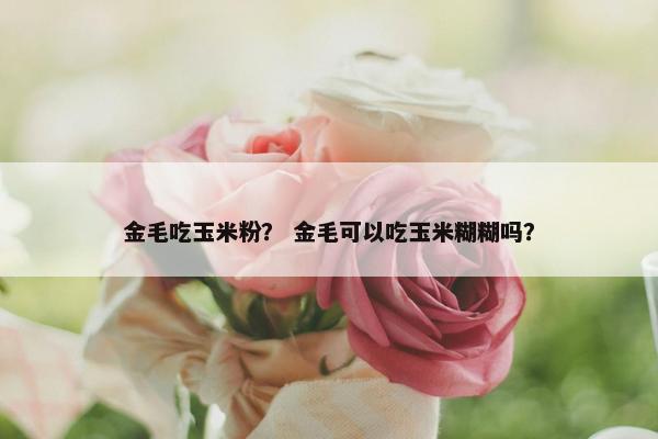金毛吃玉米粉？ 金毛可以吃玉米糊糊吗？