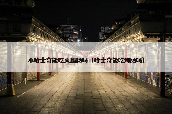 小哈士奇能吃火腿肠吗（哈士奇能吃烤肠吗）