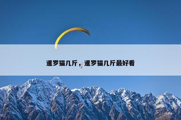 暹罗猫几斤，暹罗猫几斤最好看