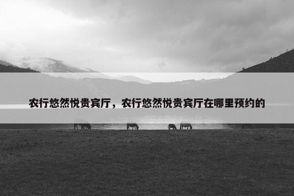 农行悠然悦贵宾厅，农行悠然悦贵宾厅在哪里预约的