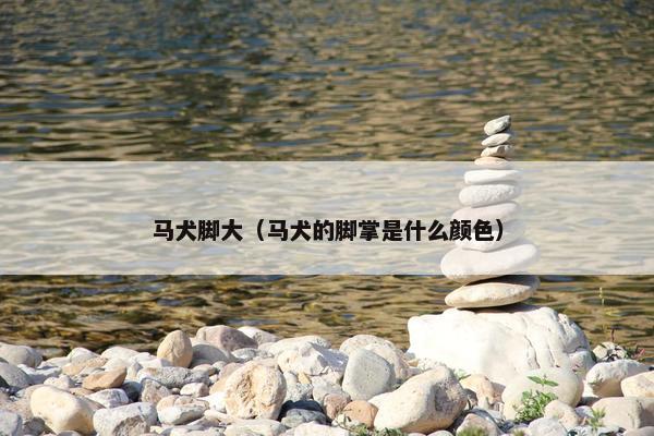 马犬脚大（马犬的脚掌是什么颜色）