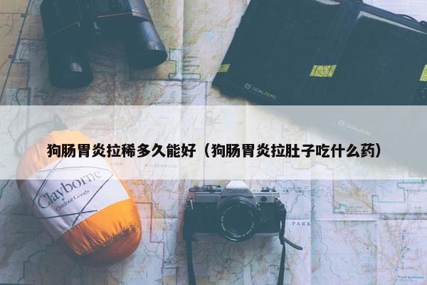 狗肠胃炎拉稀多久能好（狗肠胃炎拉肚子吃什么药）