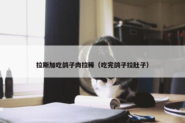 拉斯加吃鸽子肉拉稀（吃完鸽子拉肚子）