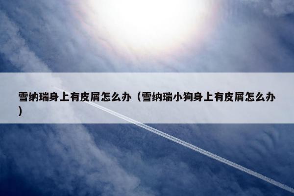 雪纳瑞身上有皮屑怎么办（雪纳瑞小狗身上有皮屑怎么办）
