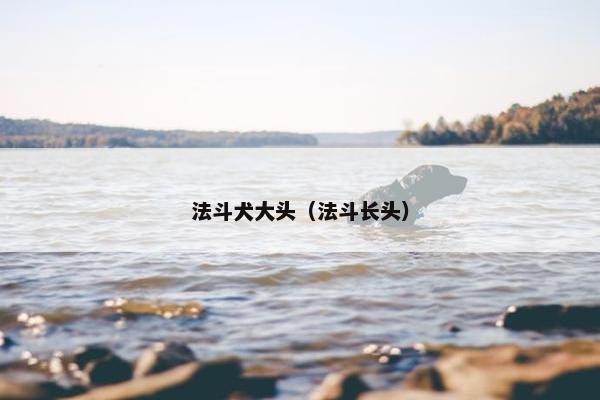 2025年6月4日 第10页