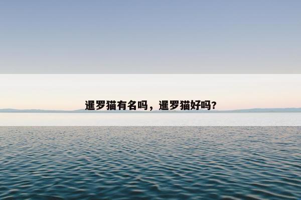 暹罗猫有名吗，暹罗猫好吗?