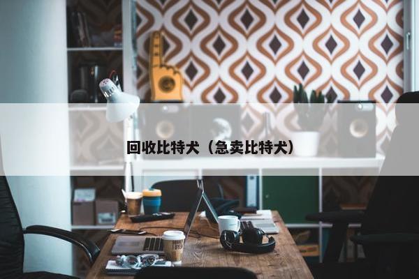 回收比特犬（急卖比特犬）