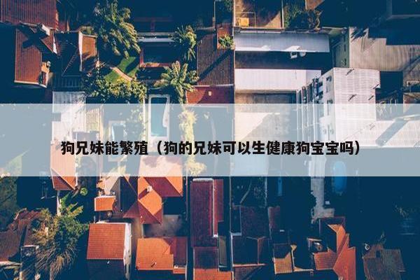 狗兄妹能繁殖（狗的兄妹可以生健康狗宝宝吗）