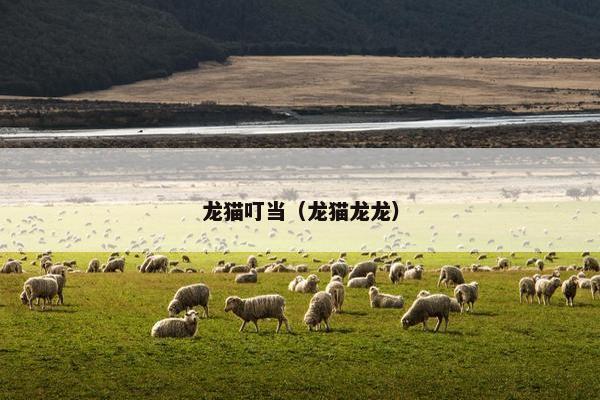 龙猫叮当（龙猫龙龙）