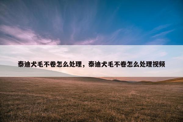 泰迪犬毛不卷怎么处理，泰迪犬毛不卷怎么处理视频