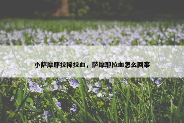 小萨摩耶拉稀拉血，萨摩耶拉血怎么回事