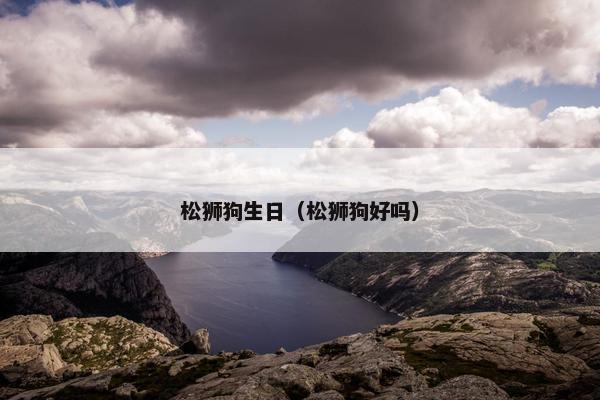 松狮狗生日（松狮狗好吗）